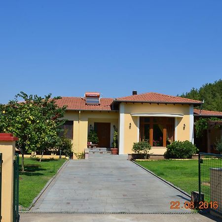 Kavala Villa 360 Degrees Green Amisianá 外观 照片