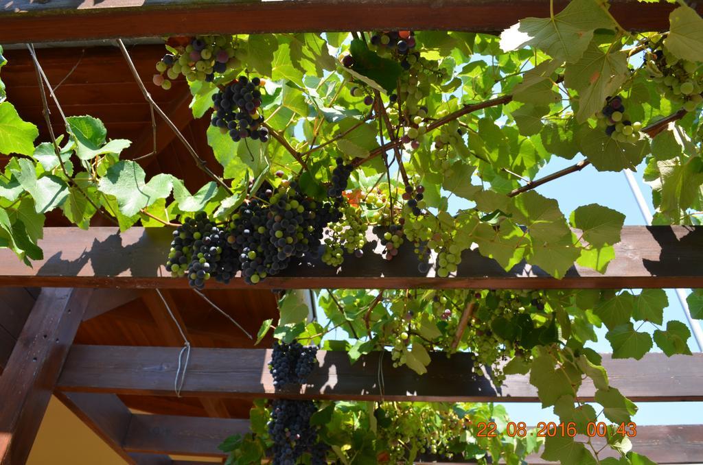 Kavala Villa 360 Degrees Green Amisianá 外观 照片