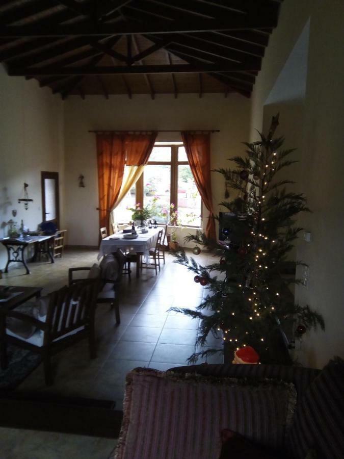 Kavala Villa 360 Degrees Green Amisianá 外观 照片